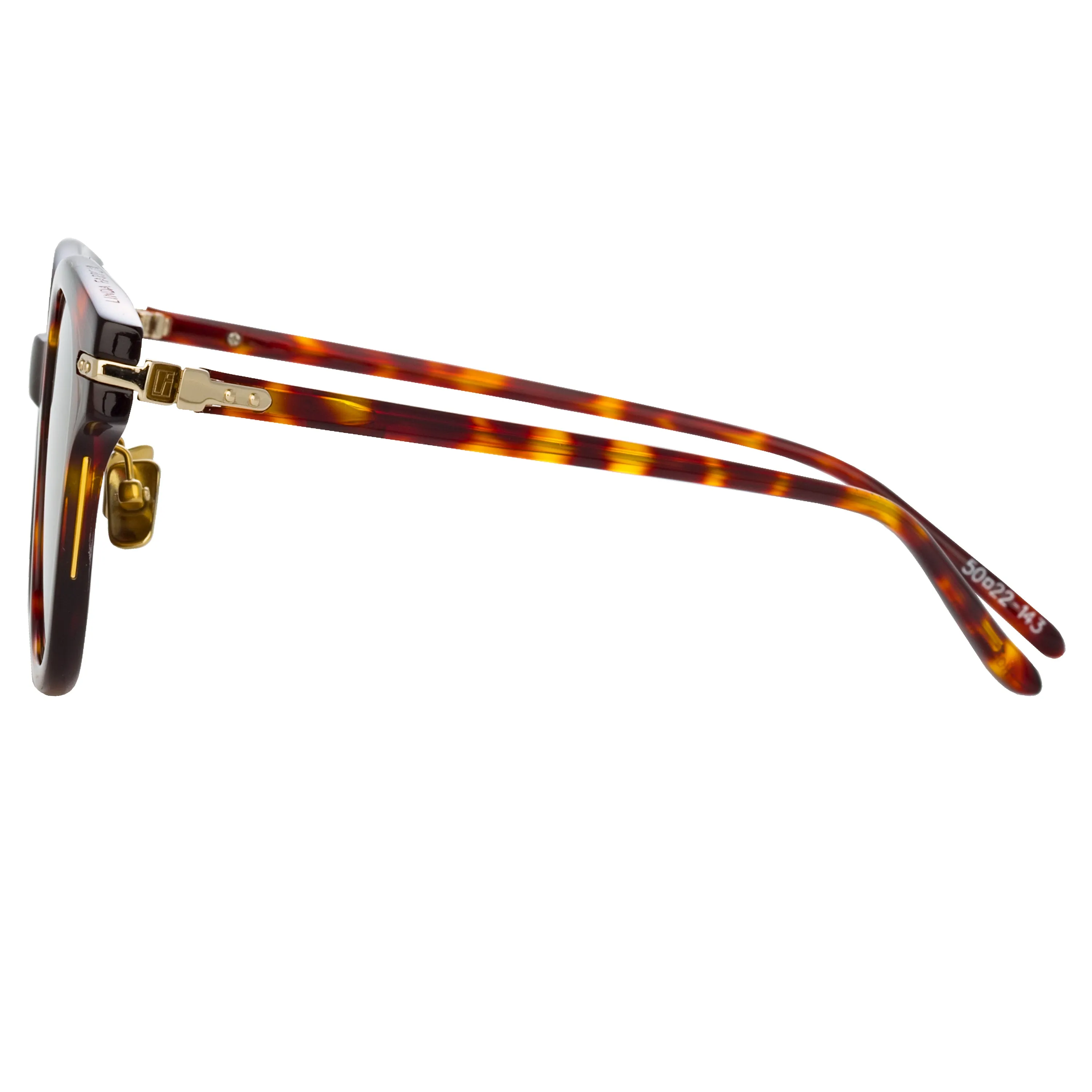 Atkins A D-Frame Sunglasses in Tortoiseshell (Men's)