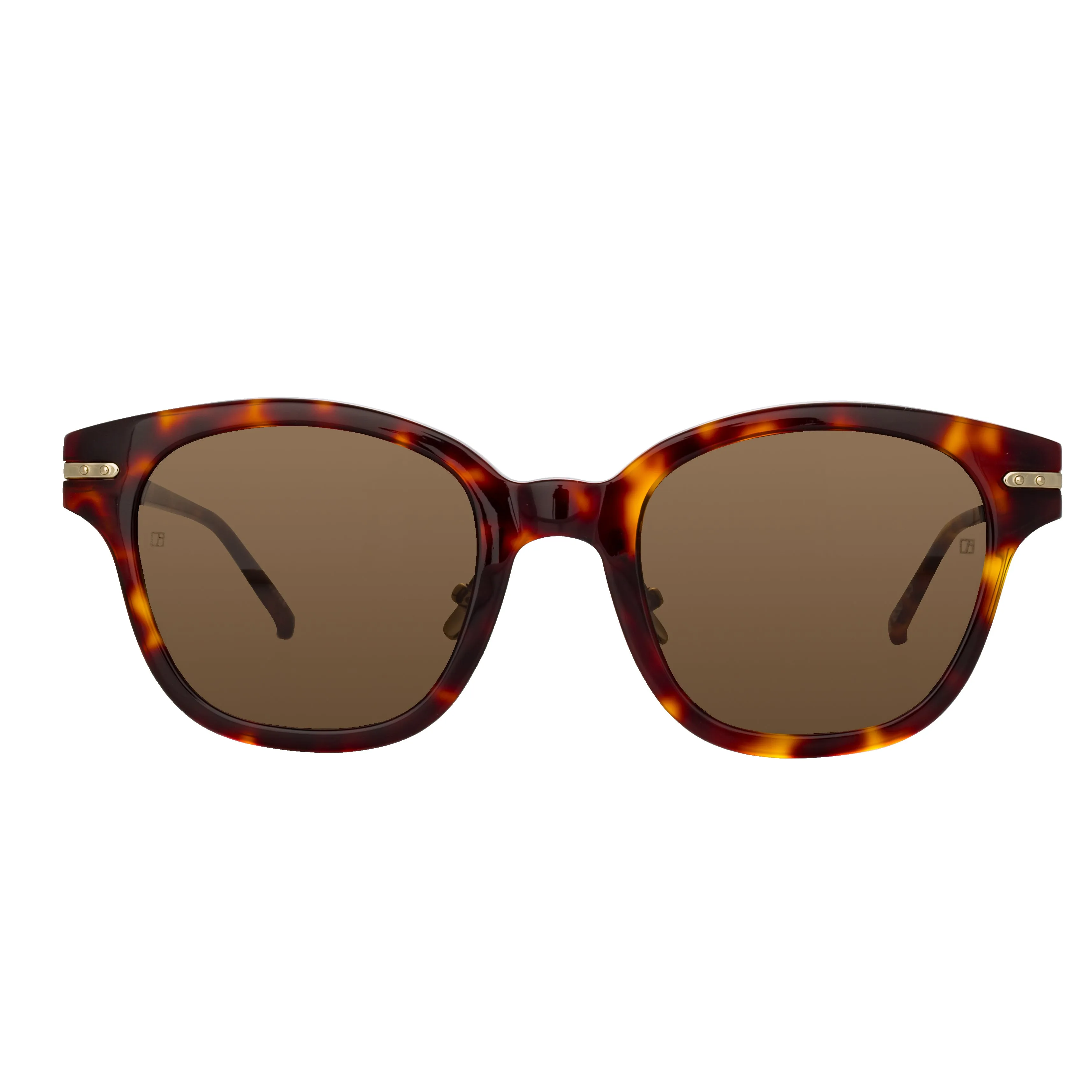 Atkins A D-Frame Sunglasses in Tortoiseshell (Men's)