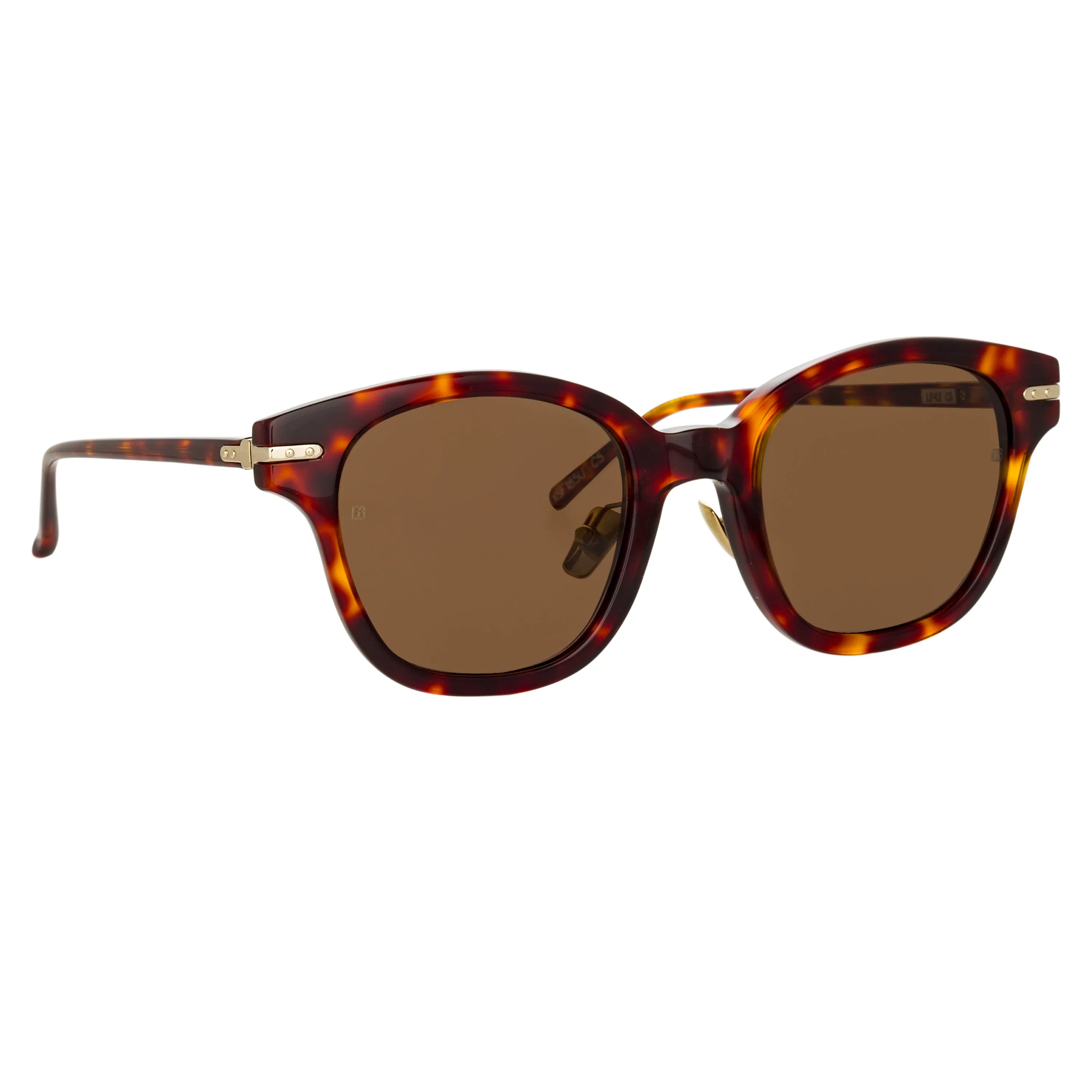 Atkins A D-Frame Sunglasses in Tortoiseshell (Men's)