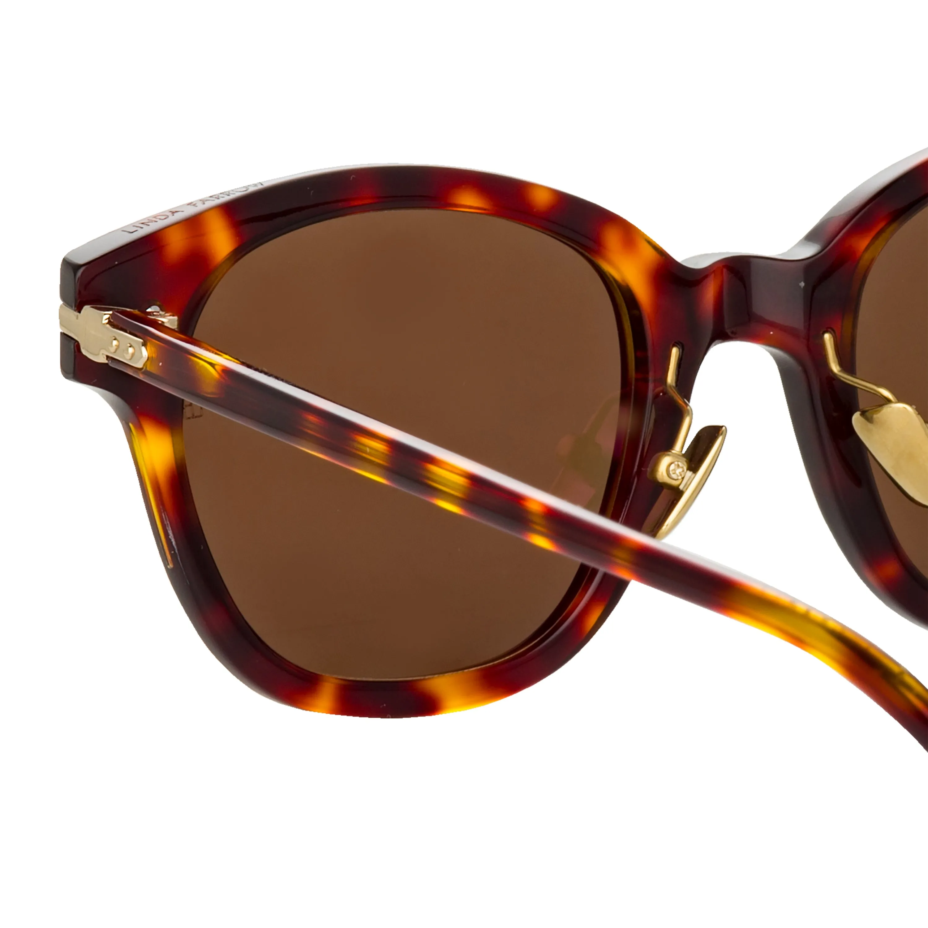 Atkins A D-Frame Sunglasses in Tortoiseshell (Men's)