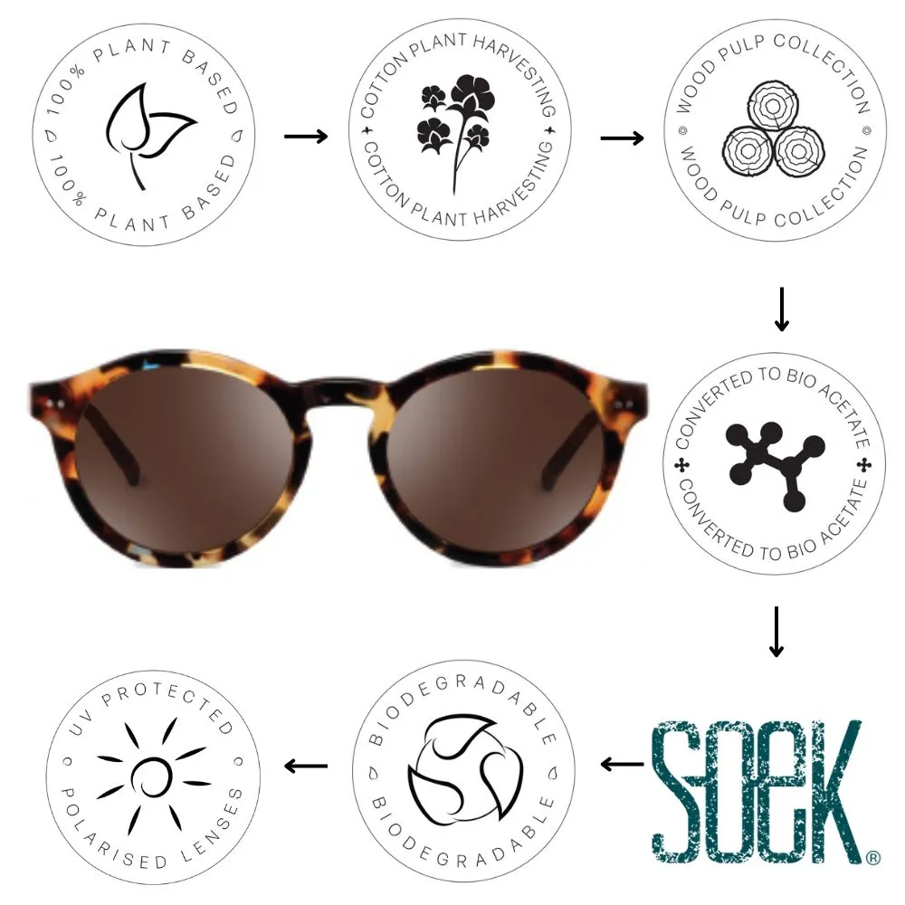 BEYOND SANDSTONE - Plant Based Ivory Tortoise Frame l Black Polarised Lens