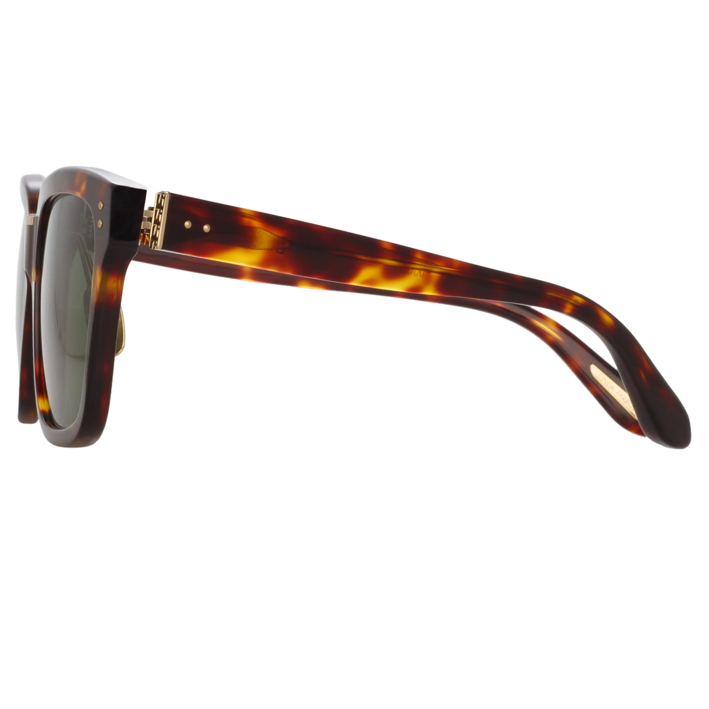 Desiree D-Frame Sunglasses in Tortoiseshell