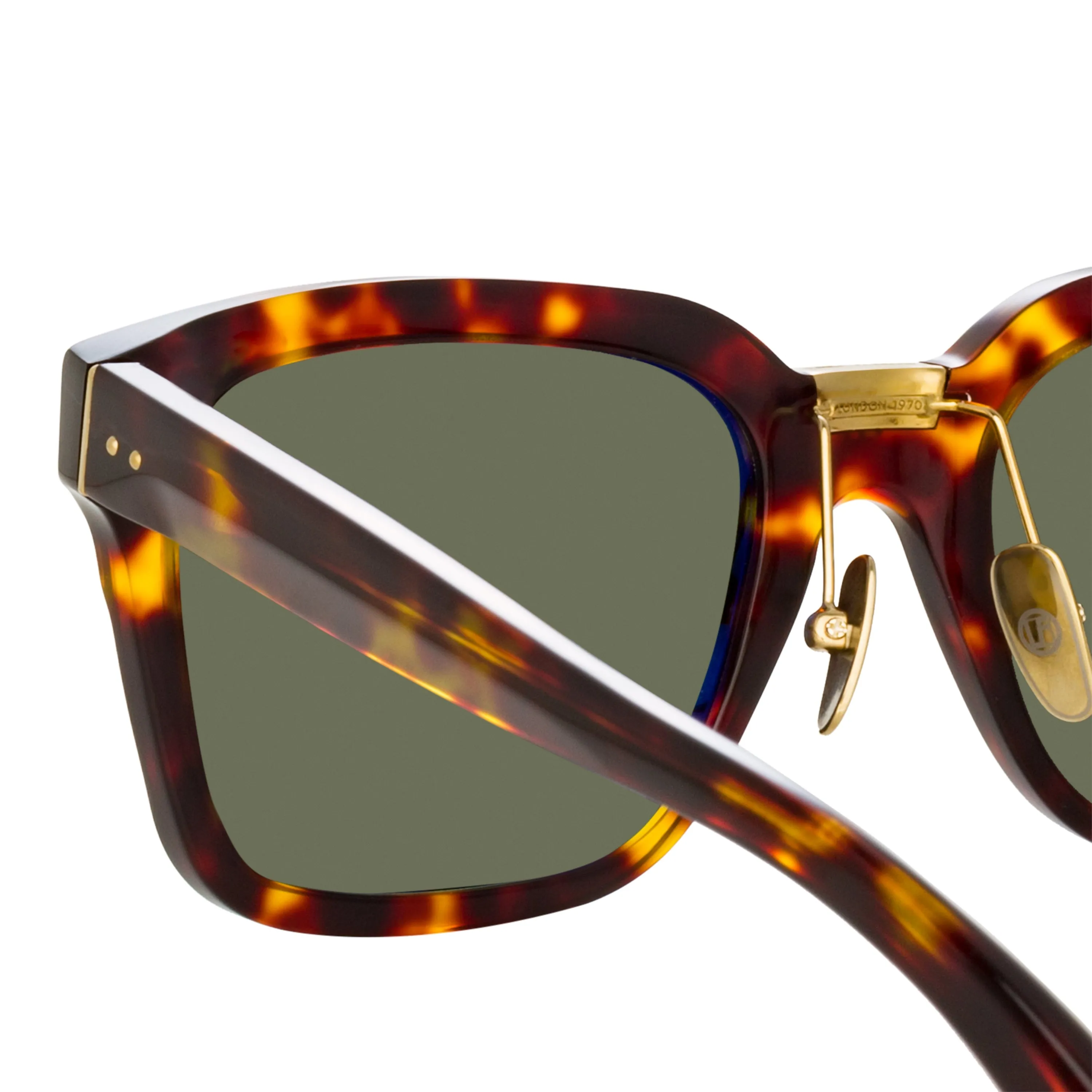 Desiree D-Frame Sunglasses in Tortoiseshell
