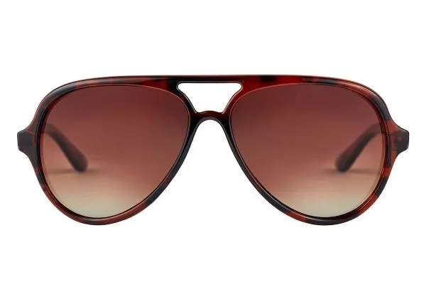 Fortis Aviator - Tortoise Shell