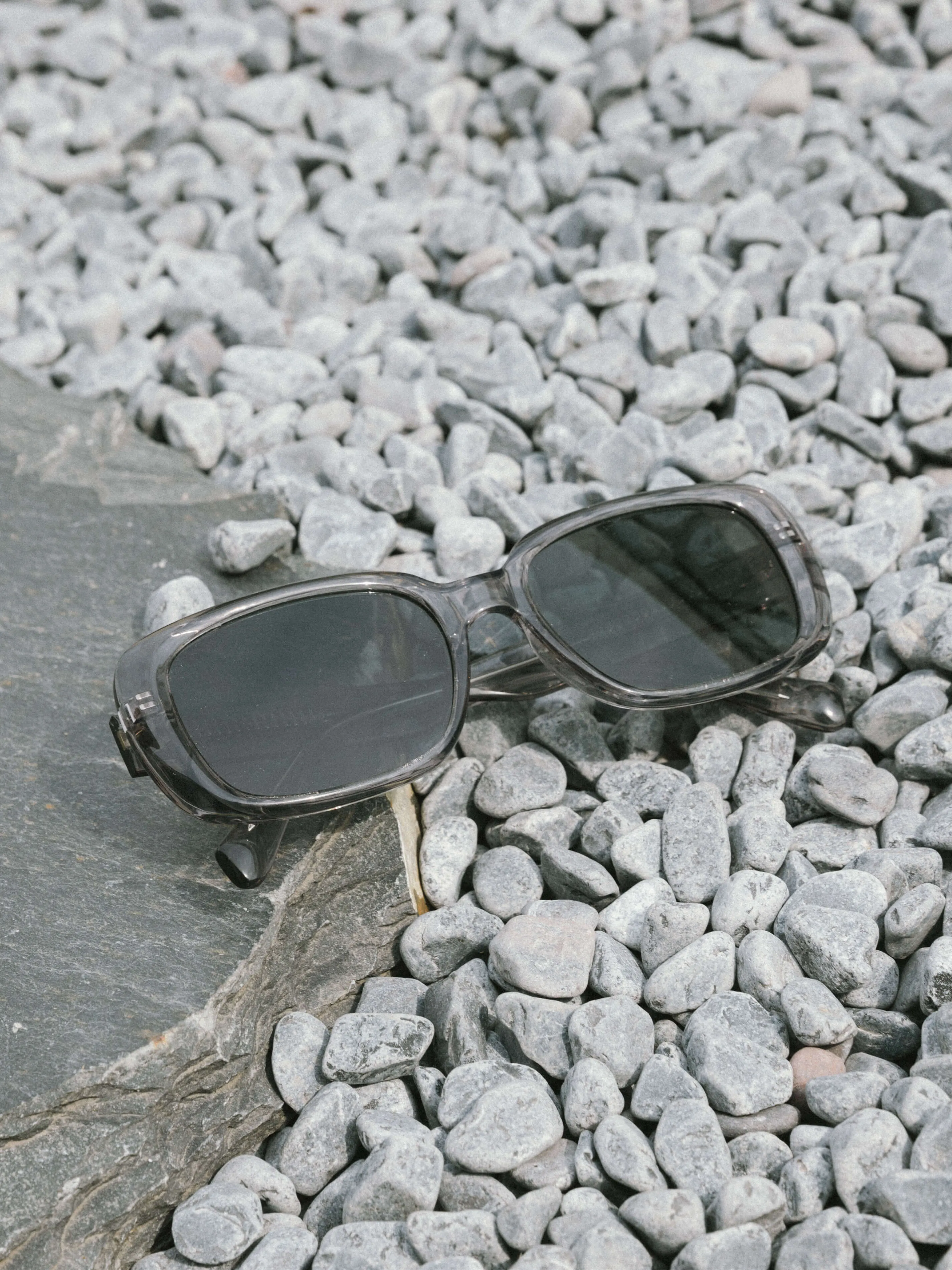 Square Sunglasses