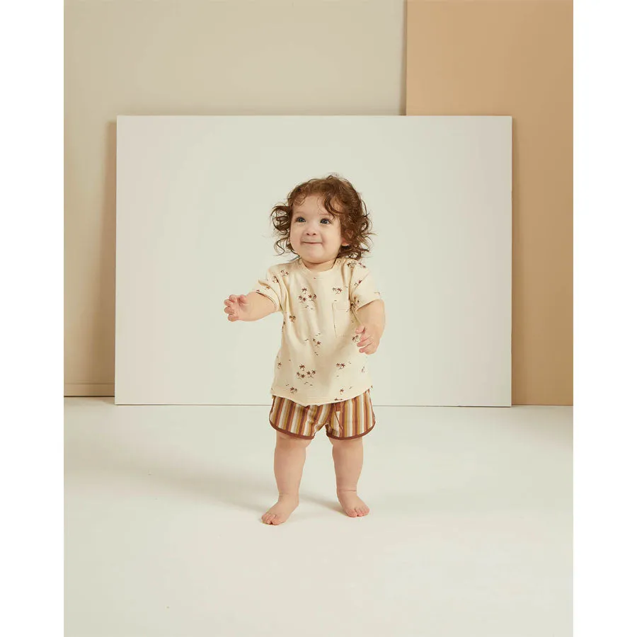 Swim Trunk - Multi-Stripe