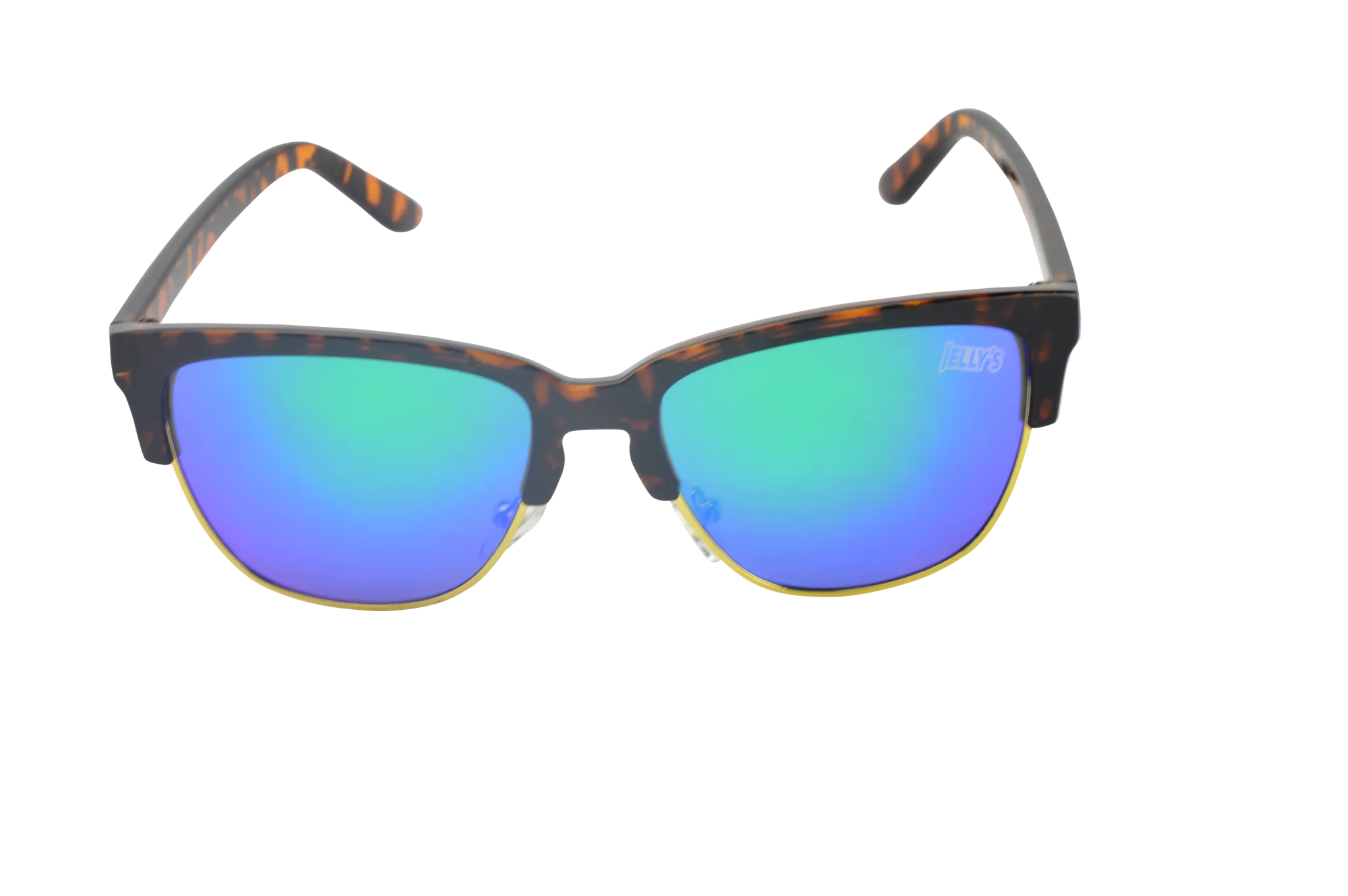 The Loggerheads Polarized