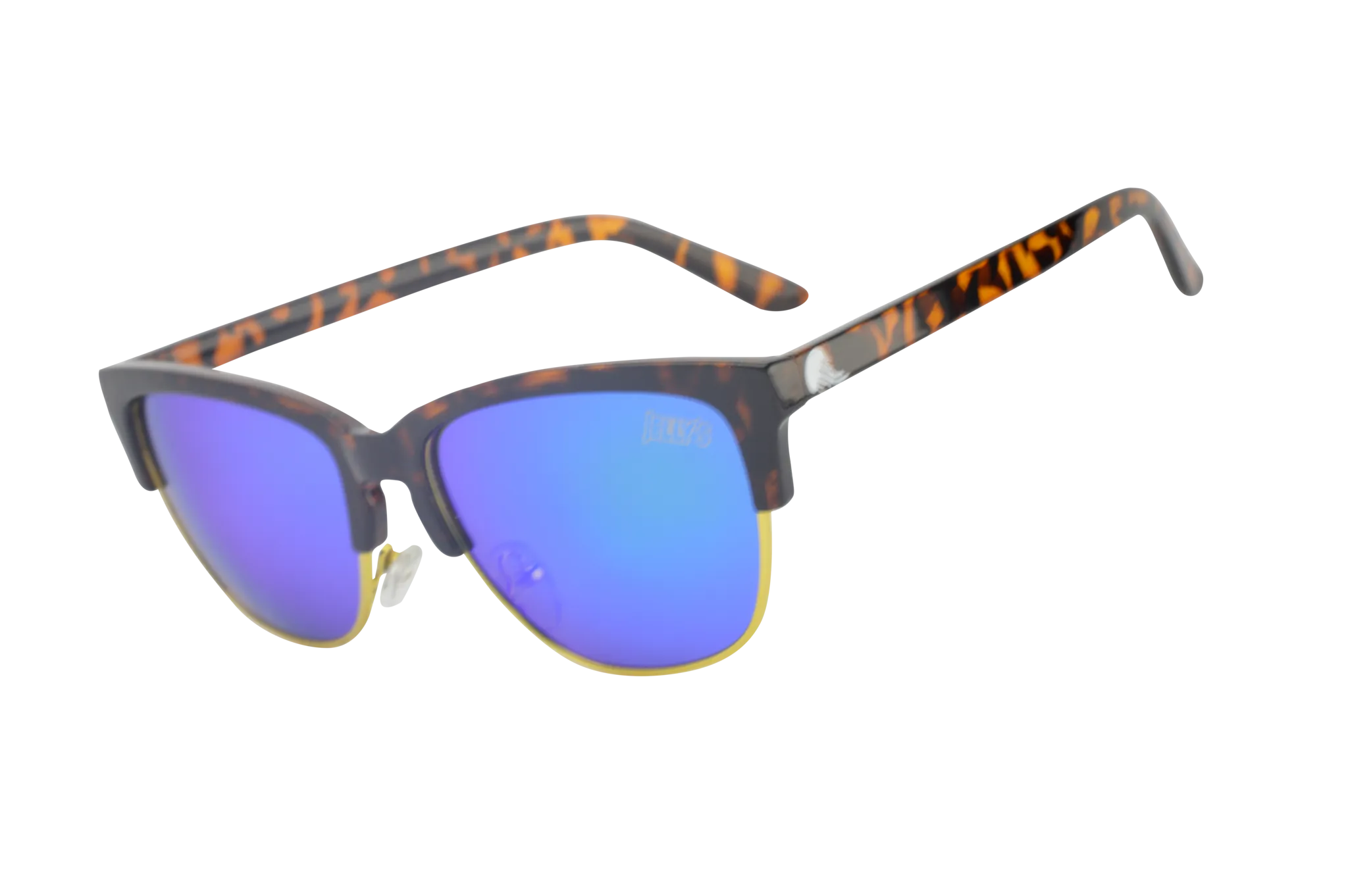 The Loggerheads Polarized